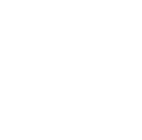 Organizer Logo 2
